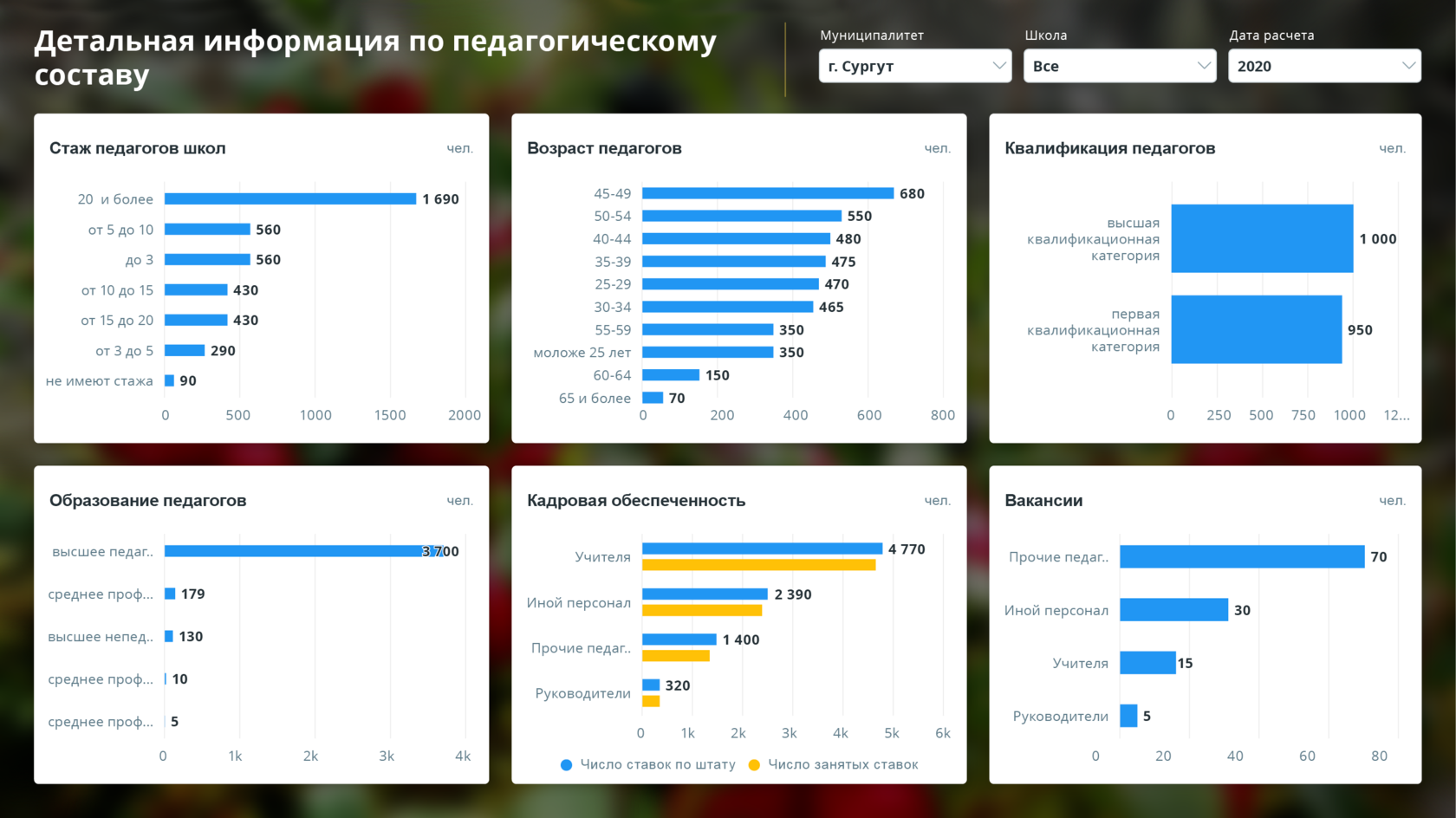 Дашборд Visiology «Детальная информация по педагогическому составу»: стаж, возраст, квалификация, вакансии